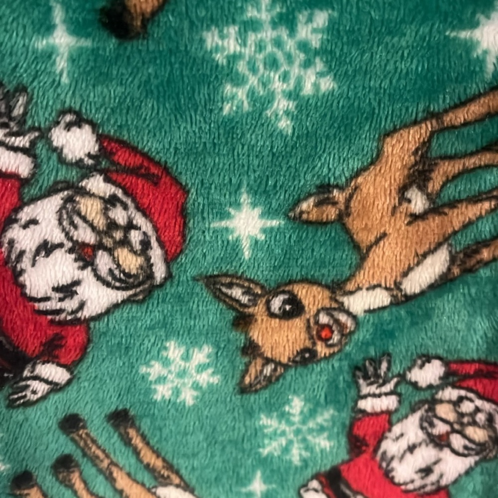 Rudolph pants - Picture 2 of 3